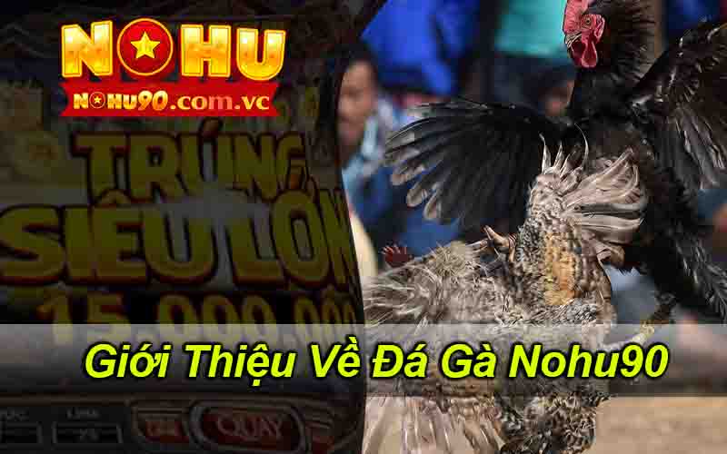 Giới Thiệu Về Đá Gà Nohu90