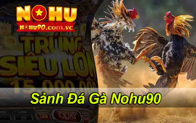 Đá Gà Nohu90 - Tham Gia Bùng Nổ Cuộc Vui