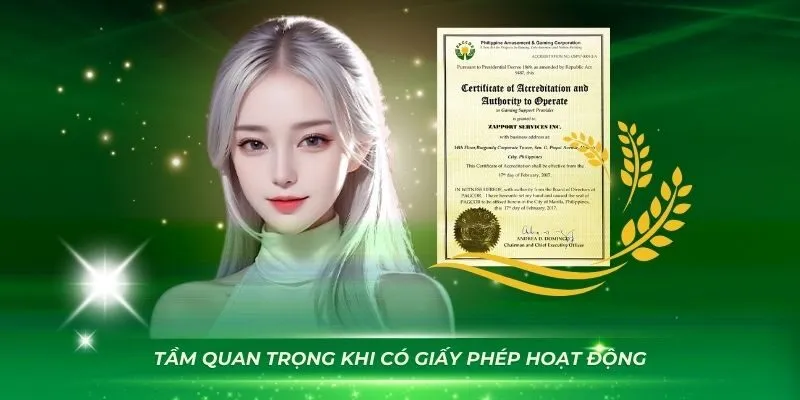 Giấy phép hoạt động là gì?