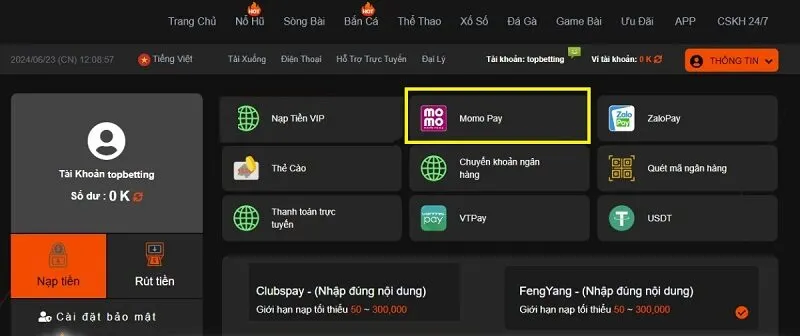 Nạp qua ví điện tử nhanh chóng